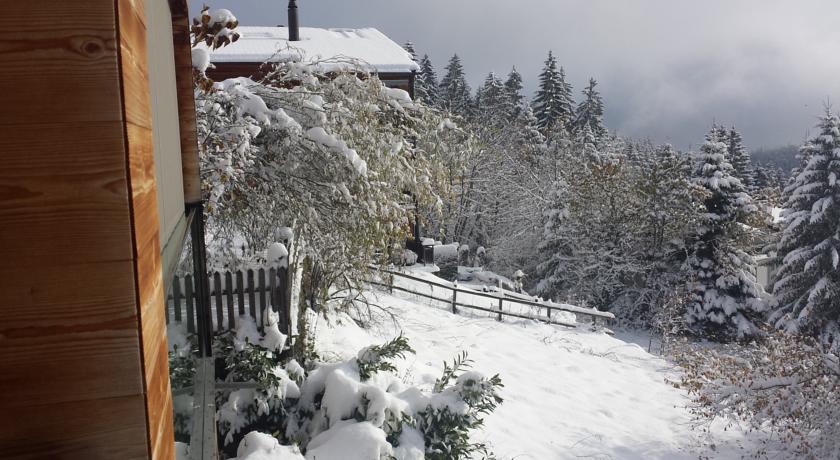 Casa Fluras Daire Flims Dış mekan fotoğraf
